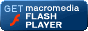 flash player6̃_E[h͂