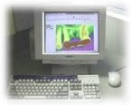 �f�W�^���G�b�N�X���ʐ^(���ː��B�e)�V�X�e��
